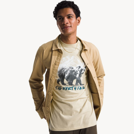Футболка TNF S/S Bears Tee (Мужской; L; Gravel)